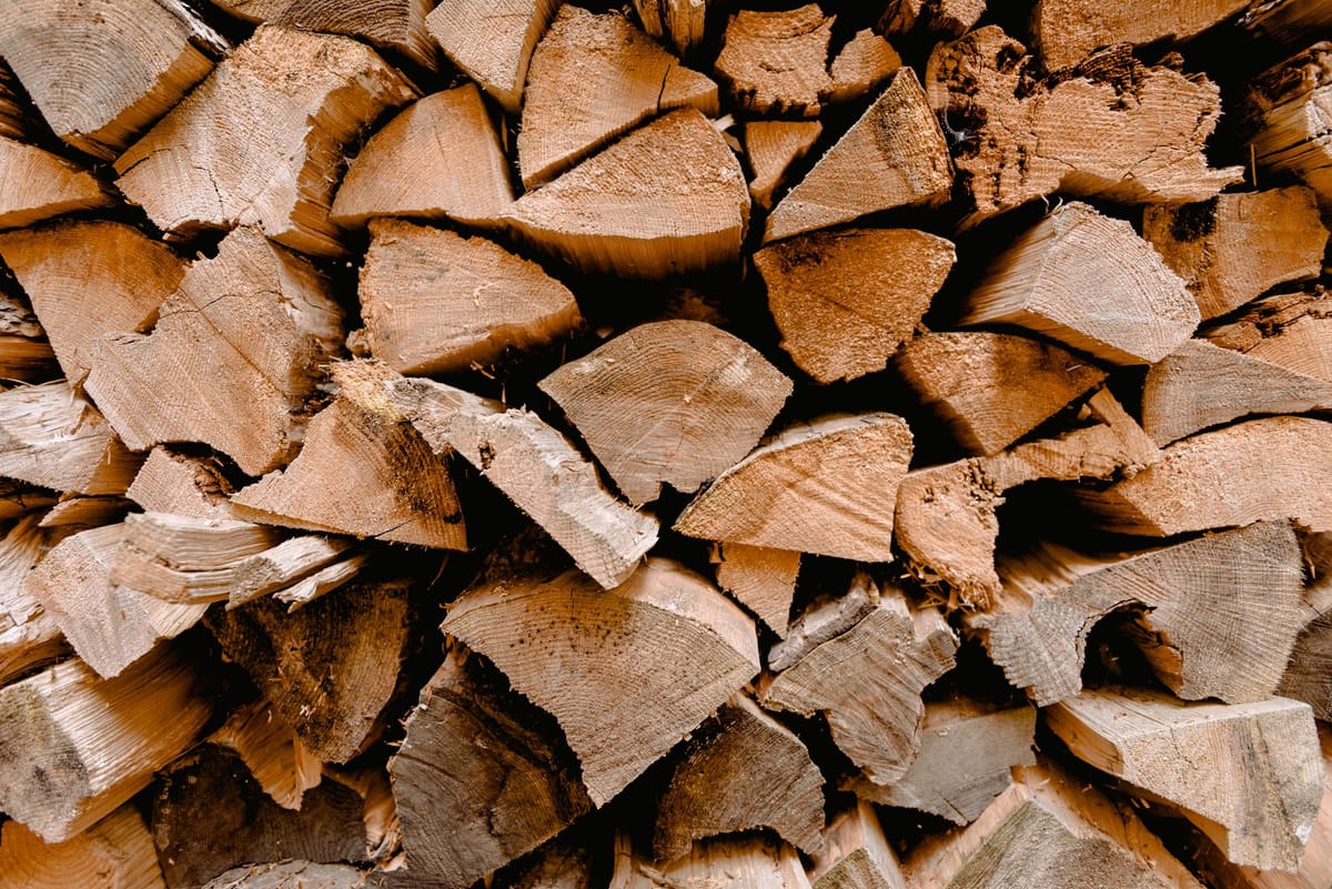 The Best Wood to Burn (Seasoned Firewood Guide)